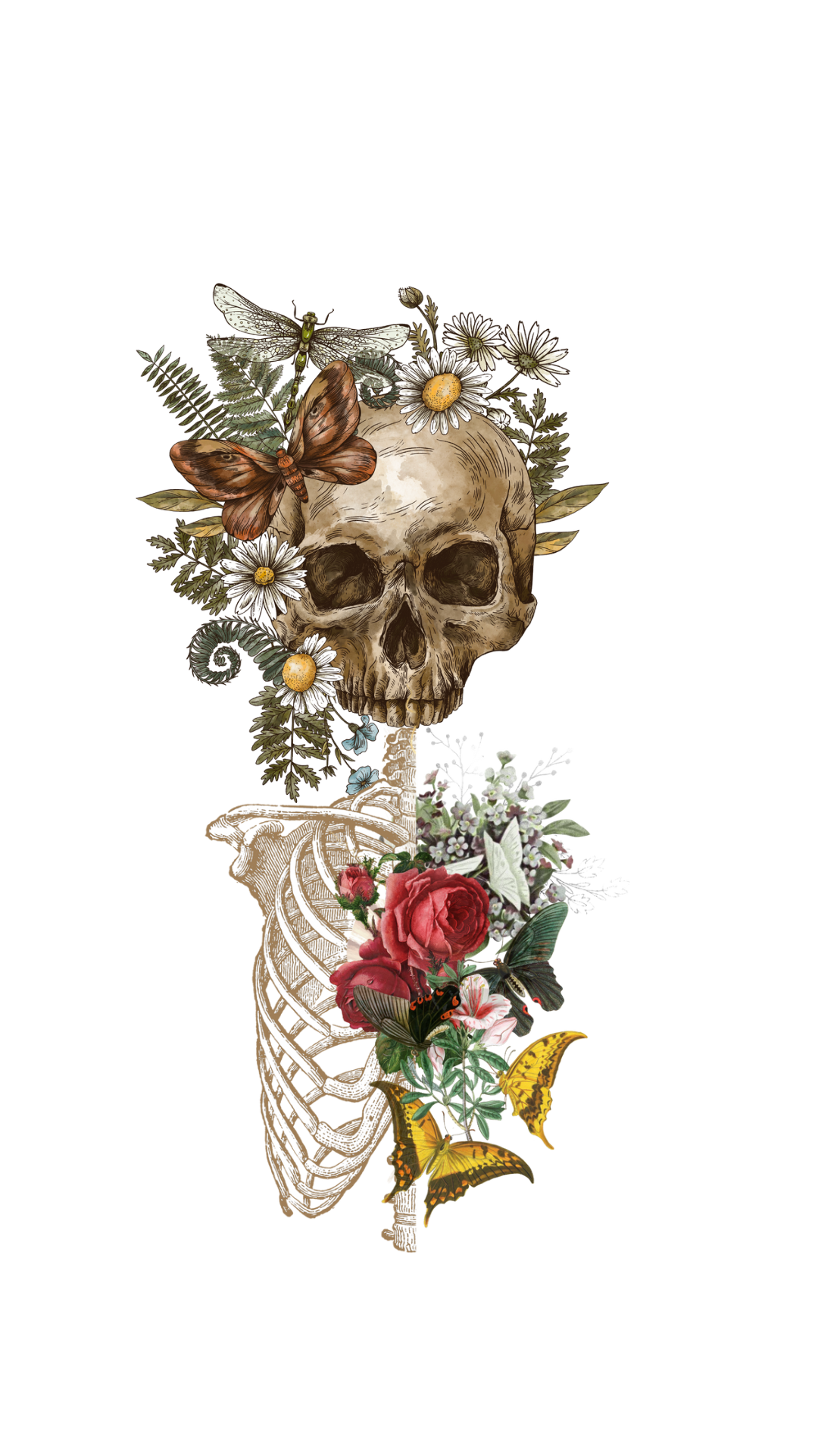 Dry Bones